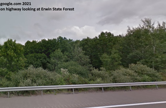 Erwin State Forest Image 1