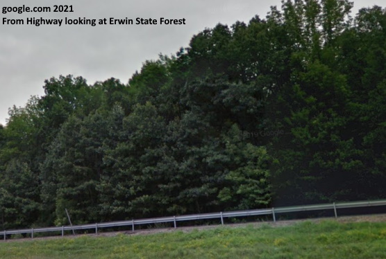 Erwin State Forest Image 2