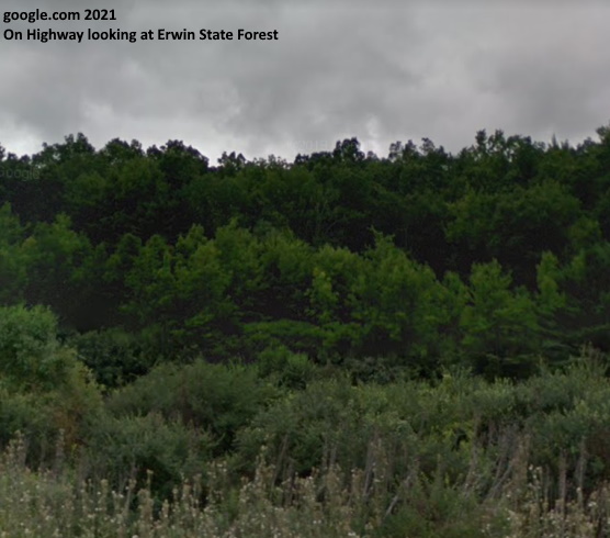 Erwin State Forest Image 3