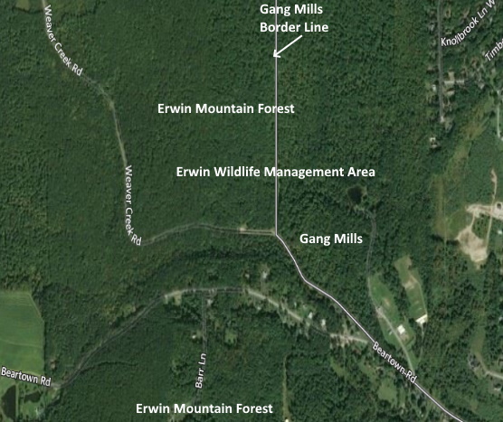 Erwin Wildlife Management Area partially in Gang Mills