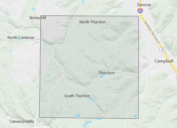 Thurston Area Borders