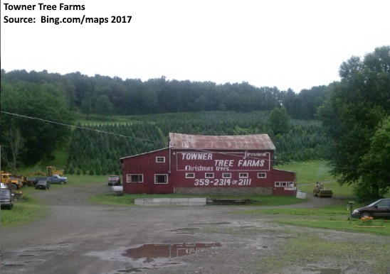 Towner Tree Farms