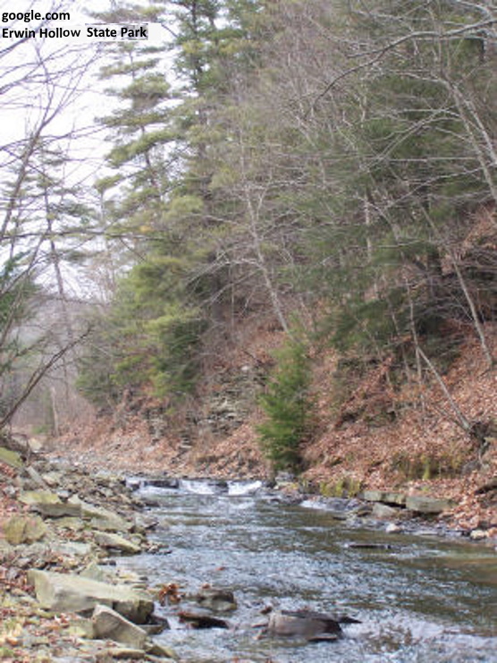 Erwin Hollow State Park
