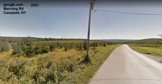 Manning Rd, Campbell, NY