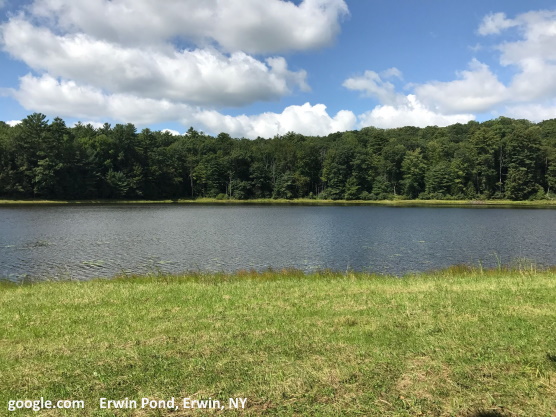 Erwin Pond