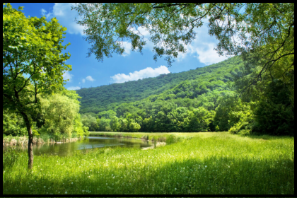 Summer Image